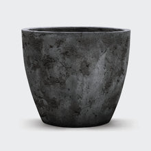 Load image into Gallery viewer, Leon