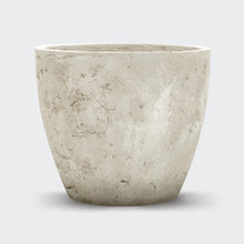 Load image into Gallery viewer, Leon