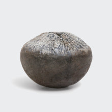 Load image into Gallery viewer, Oxus