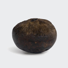 Load image into Gallery viewer, Oxus