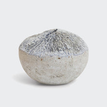 Load image into Gallery viewer, Oxus