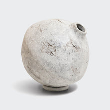 Load image into Gallery viewer, Photina